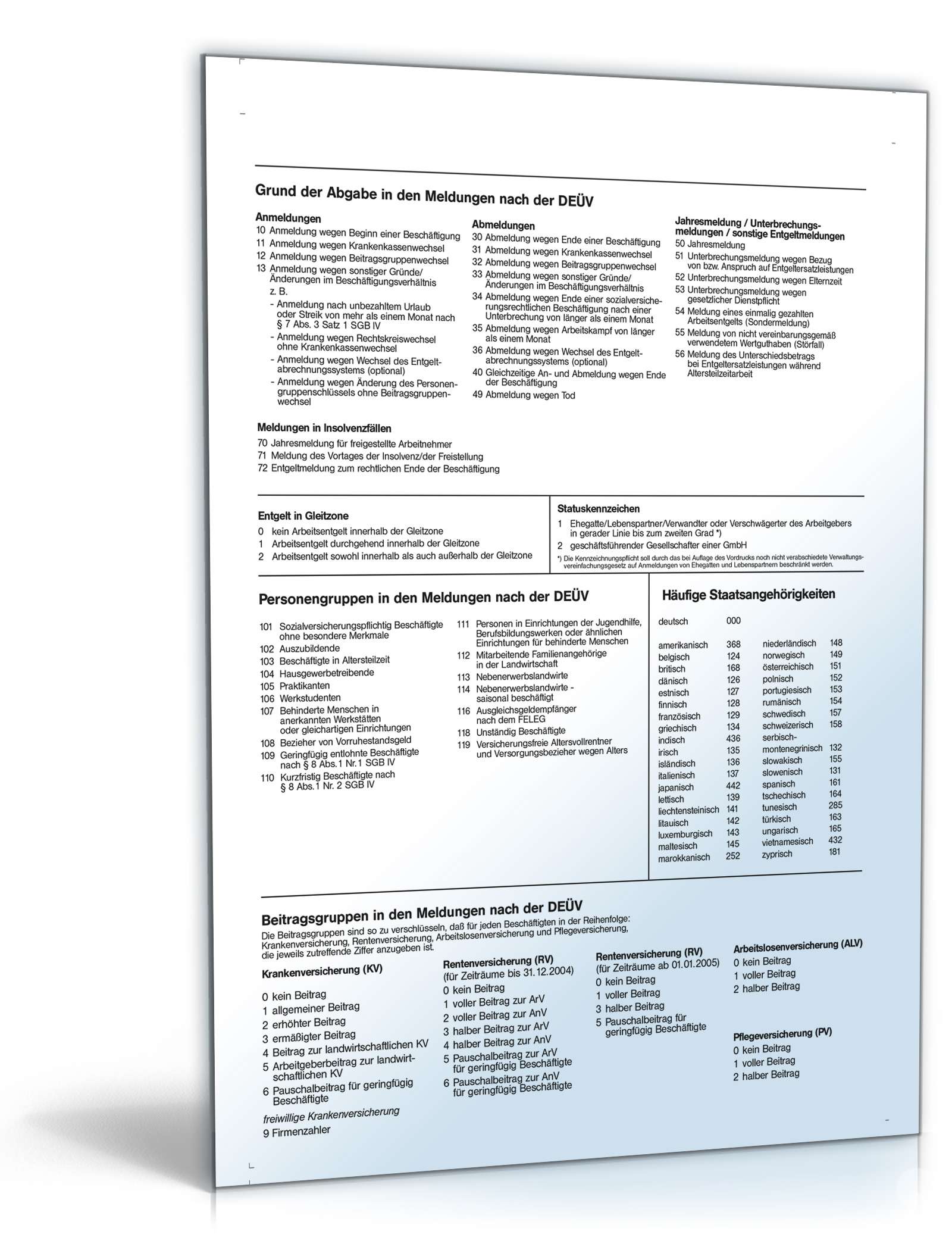 Meldung Zur Sozialversicherung Minijob | Formular Zum Download