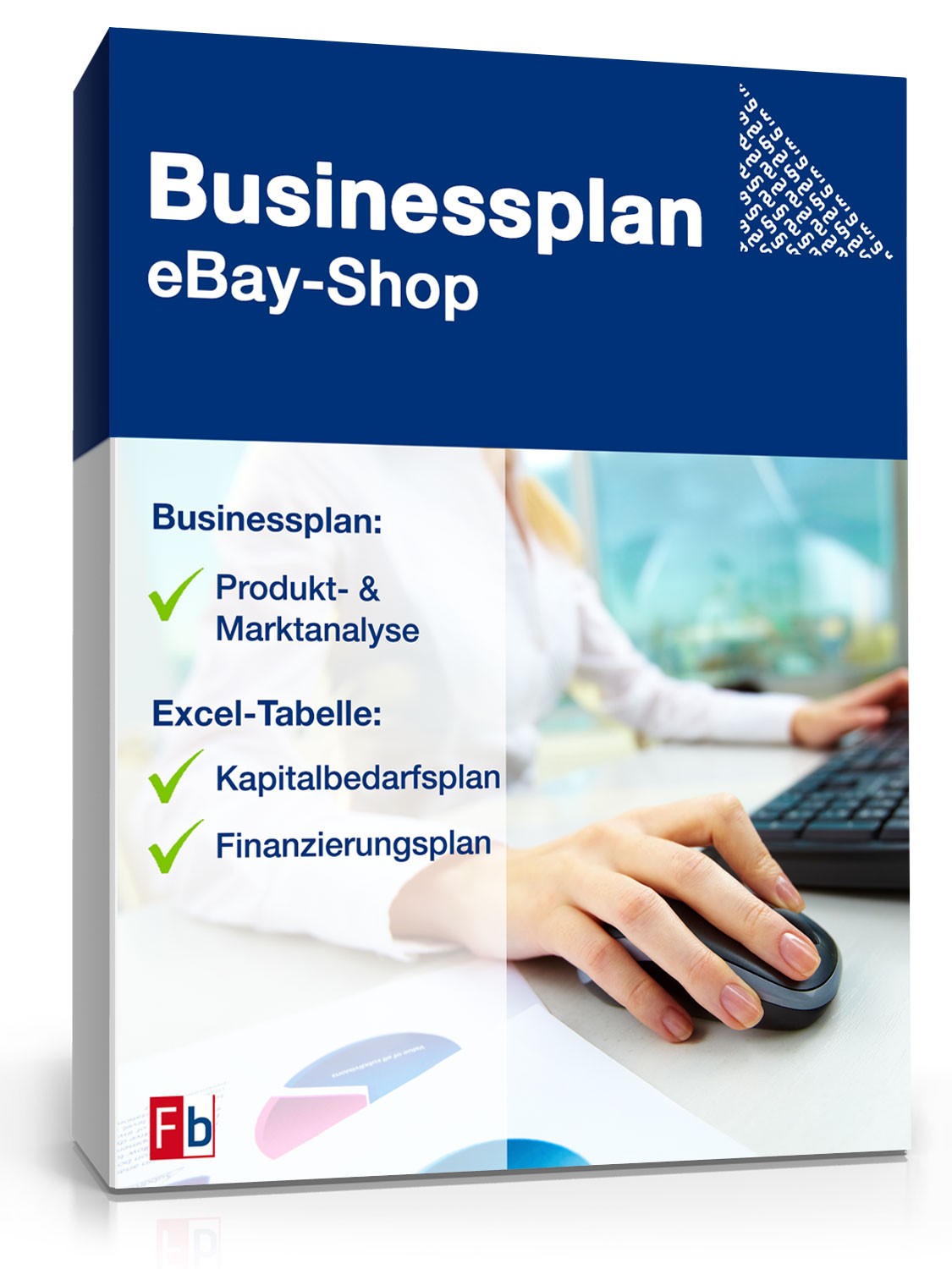 ebay business plan
