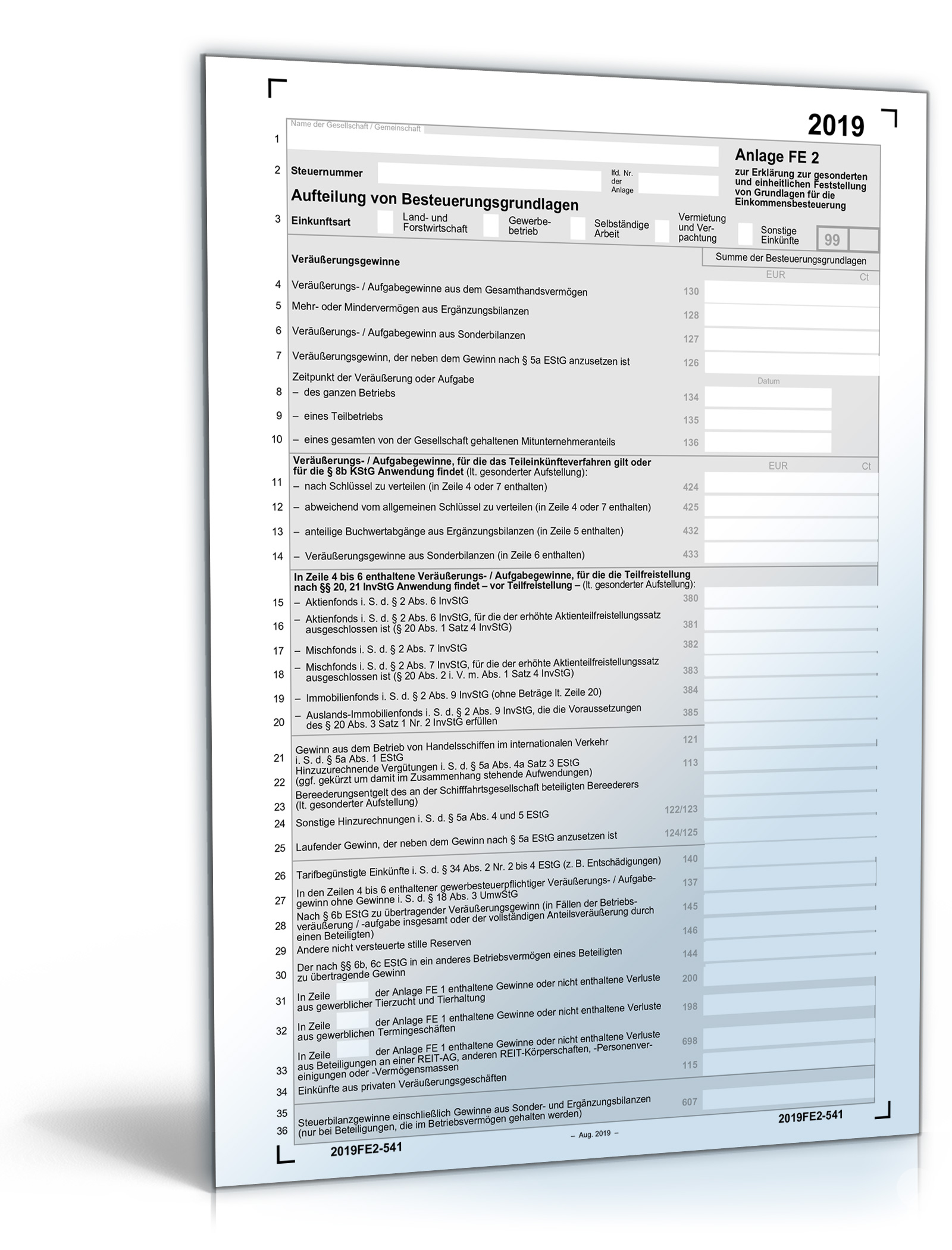 Anlage FE 2 2019 | Steuerformular zum Download