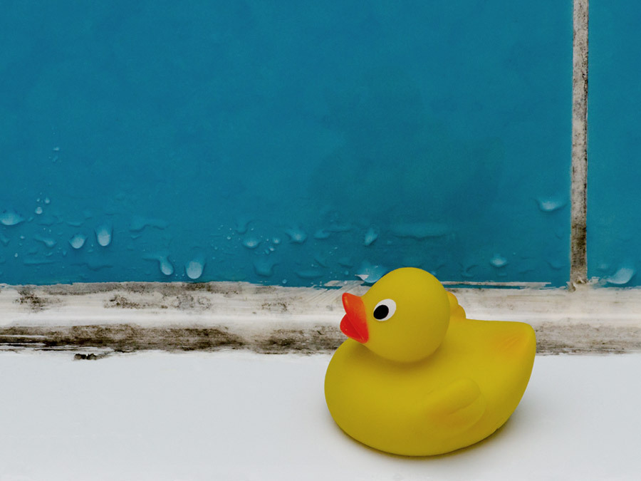 Schimmel im Badezimmer einer Mietwohnung.